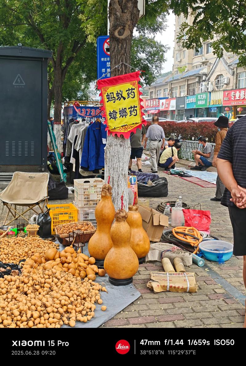 大连购物指南：探索城市繁华与时尚